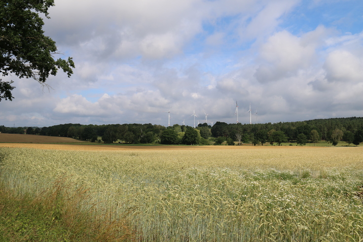 Landschaft im Landkreis Lüneburg