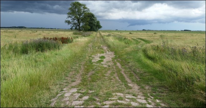 Landschaft in Schnackenburg