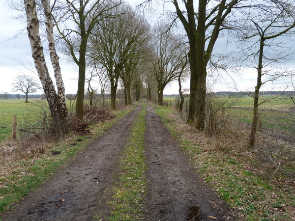 Flurbereinigung, Holtum (Geest)