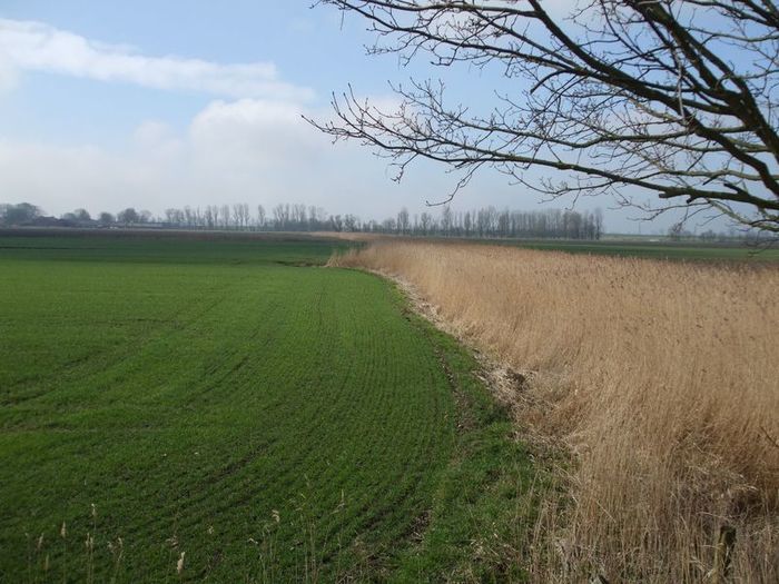 Flurbereinigung Fleeste