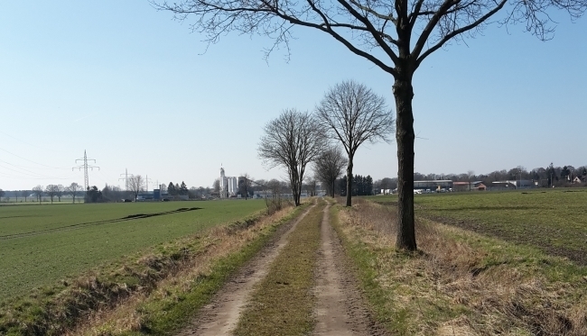 ländlicher Weg bei Celle