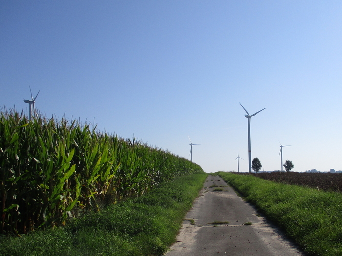 Unternehmensflurbereinigung A39-Oetzen