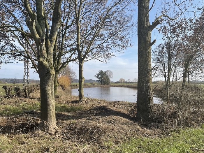 AllerVielfalt luttum