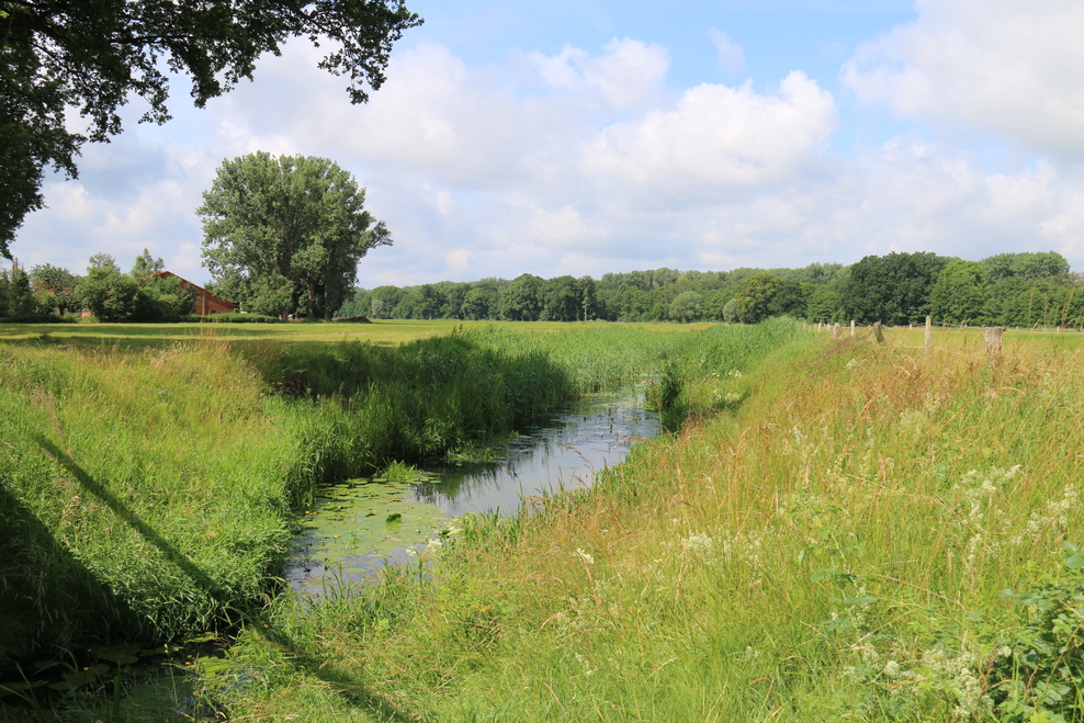 Ein Bach im Landkreis Lüneburg