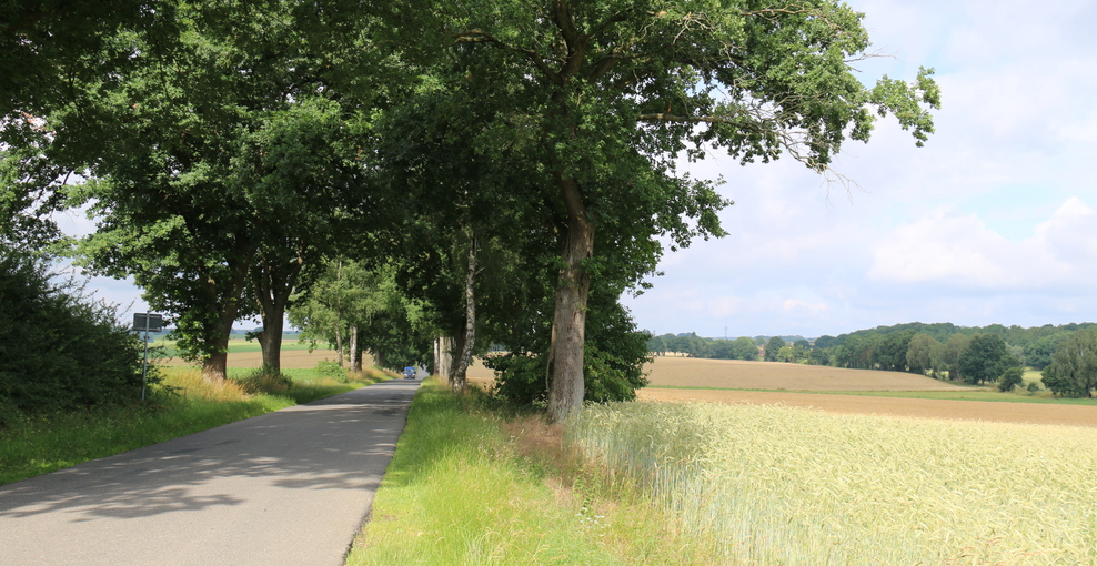 Straße und Wiese auf dem Land