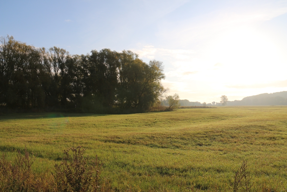Landschaft im Herbst
