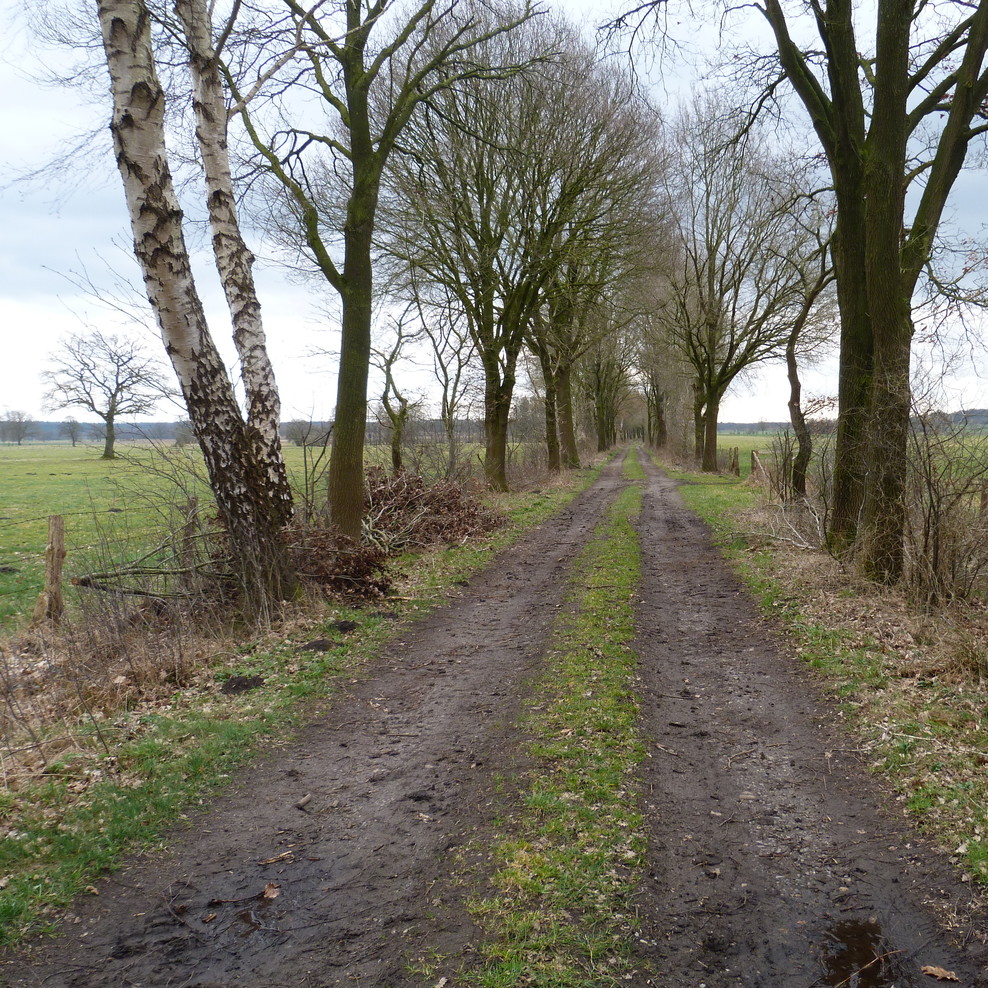 Flurbereinigung, Holtum (Geest)