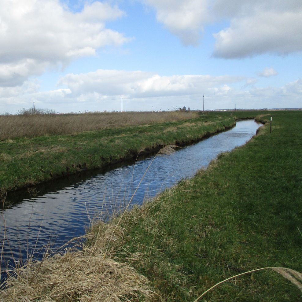 Flurbereinigung Buxtehude