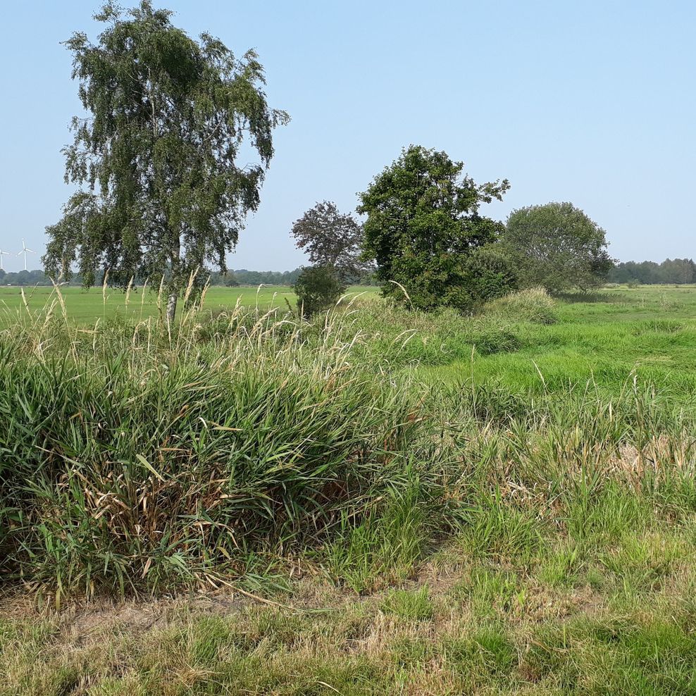 Flurbereinigung Flögeln