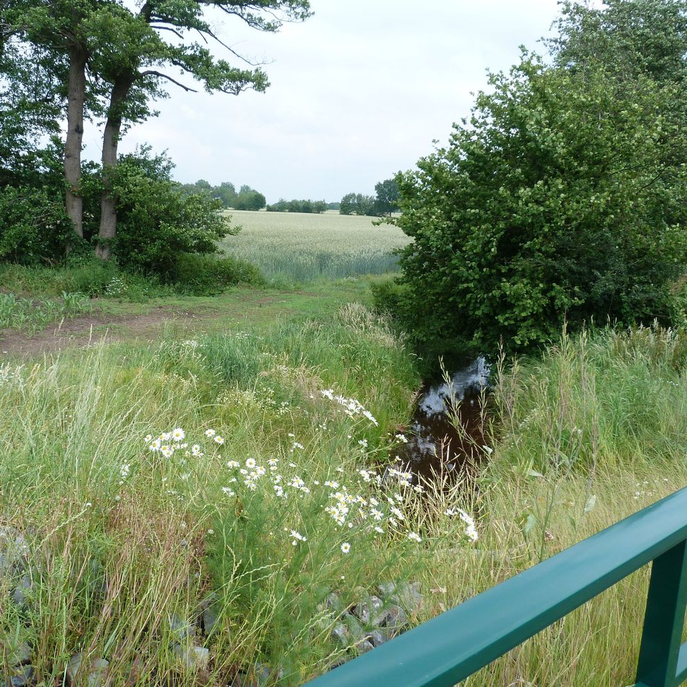 Flurbereinigung Elsdorf