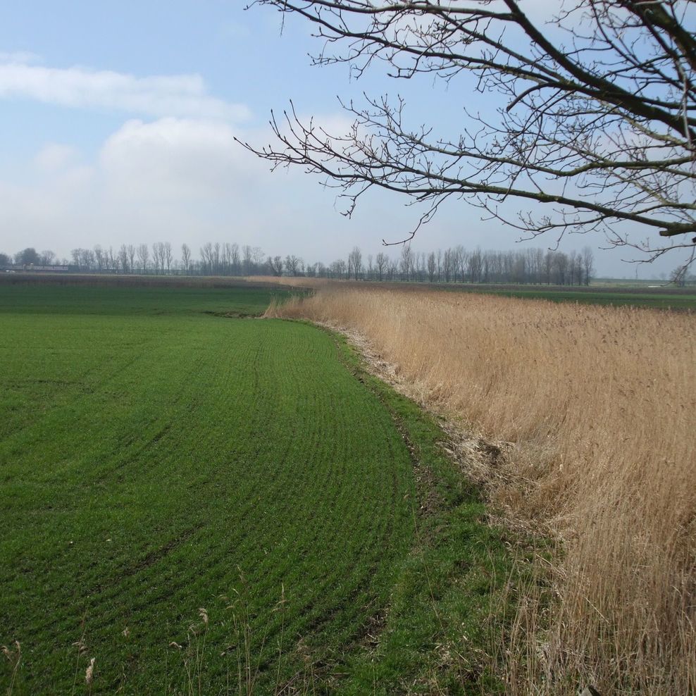 Flurbereinigung Fleeste