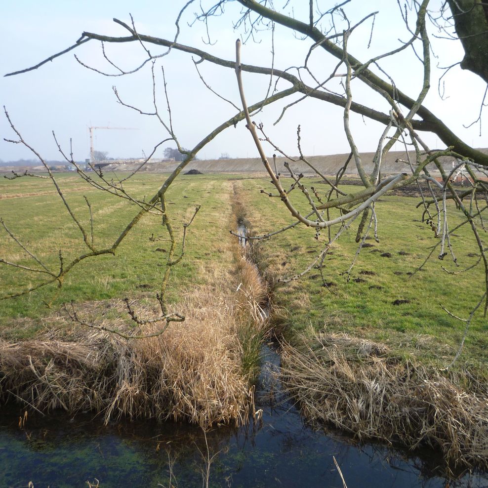 Flurbereinigung Rübke