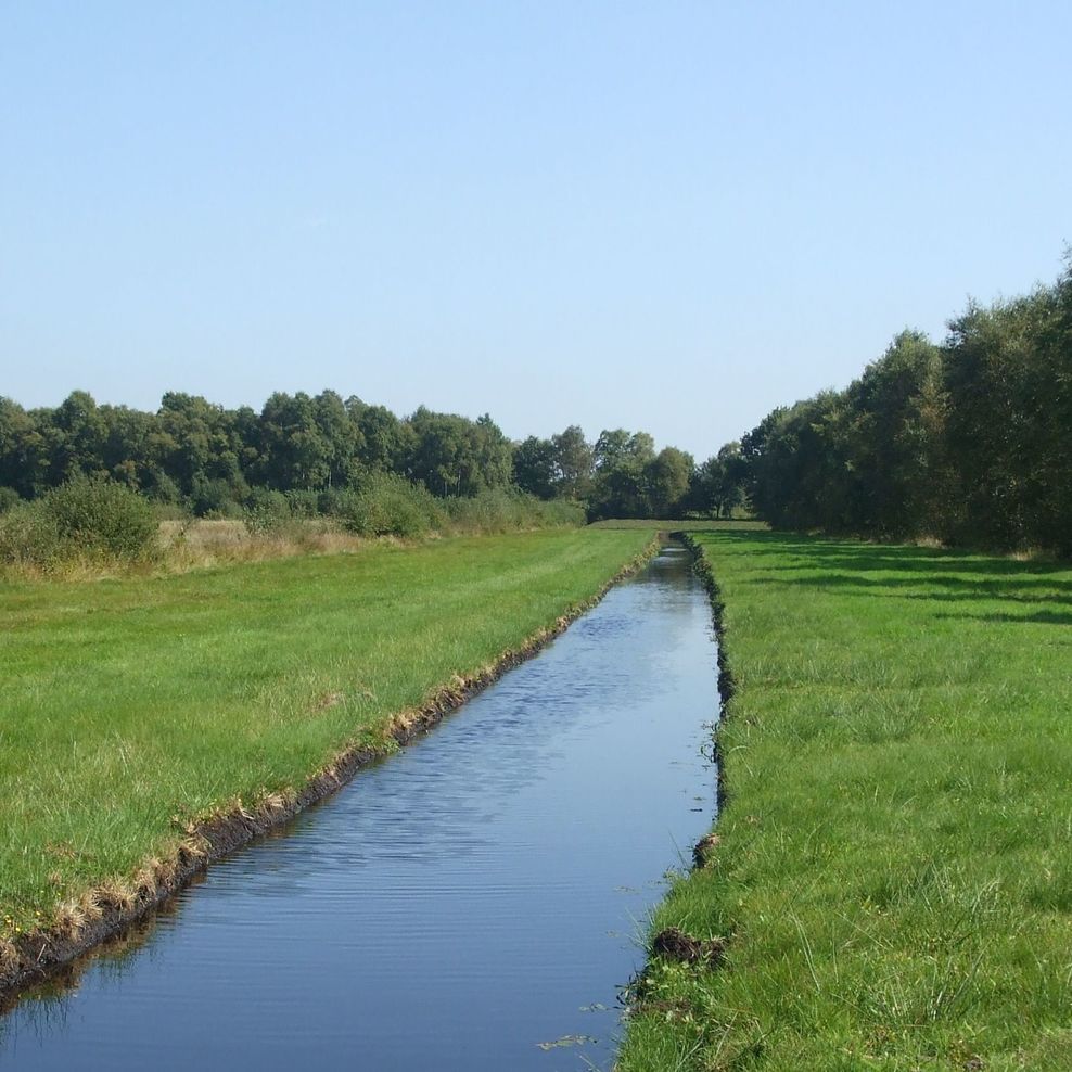 Flurbereinigung Odisheim