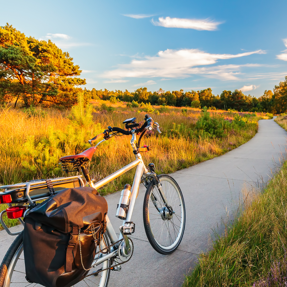 Fahrradweg in der Heide