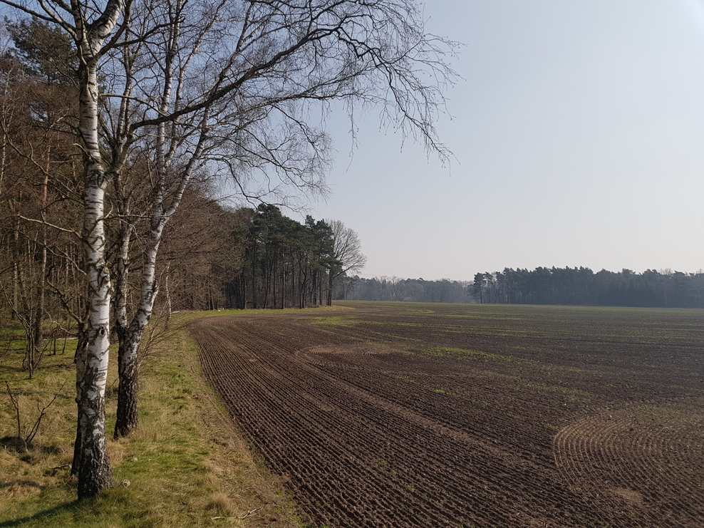 Flurbereinigungsverfahren Heeslingen