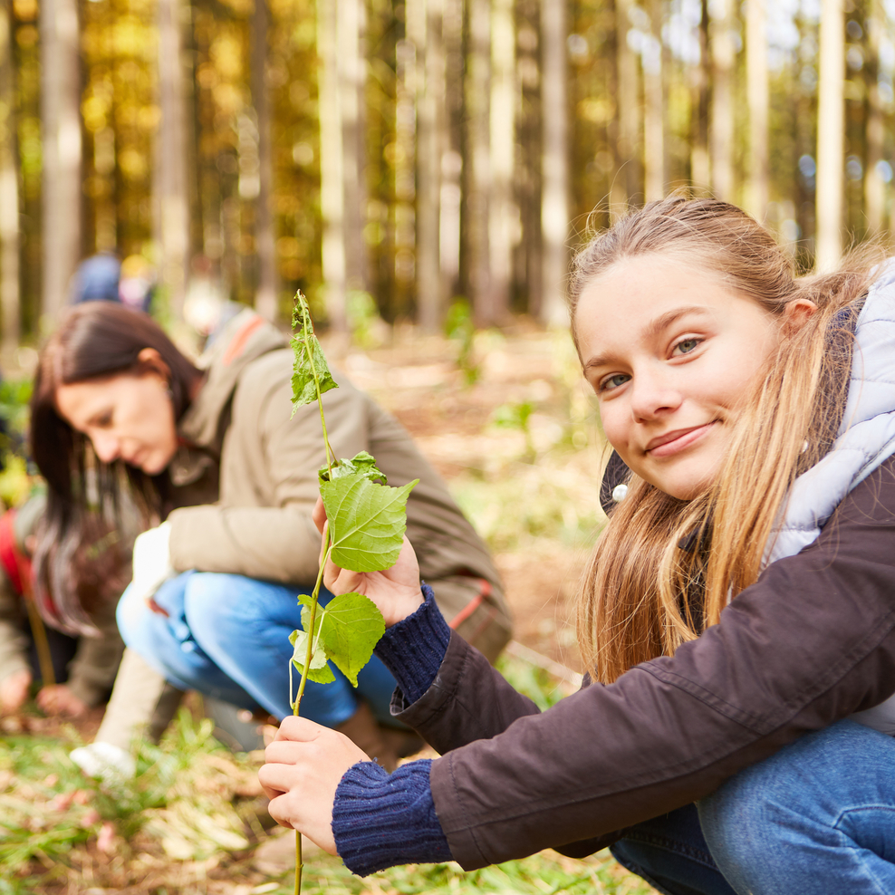 Klimaprojekt