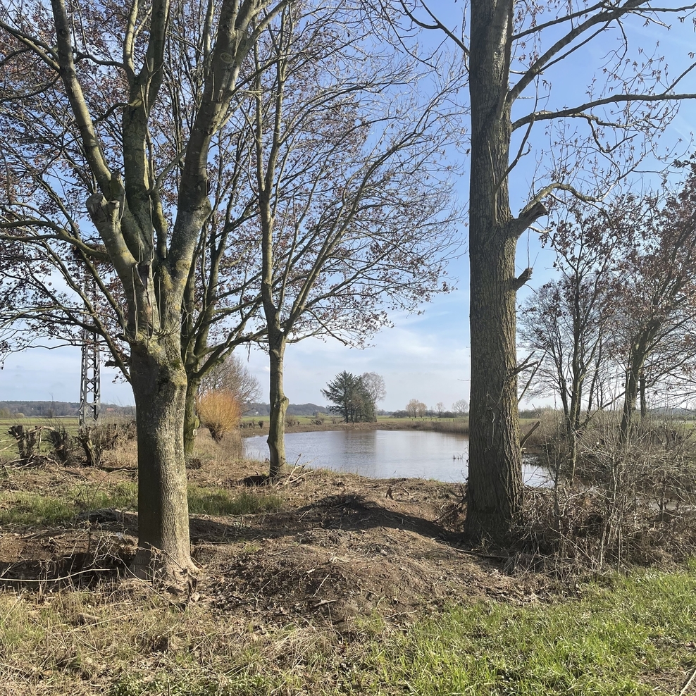 AllerVielfalt luttum