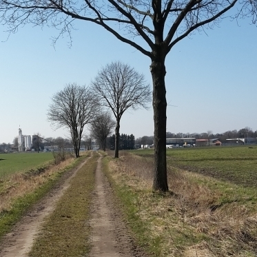 ländlicher Weg bei Celle